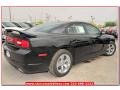 Pitch Black - Charger SE Photo No. 6