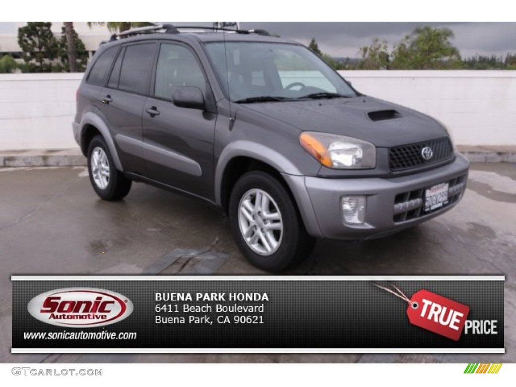 2003 RAV4  - Graphite Gray Pearl / Gray photo #1