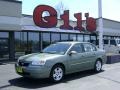 Silver Green Metallic 2006 Chevrolet Malibu LT Sedan