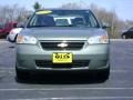 2006 Silver Green Metallic Chevrolet Malibu LT Sedan  photo #2