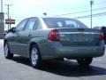 2006 Silver Green Metallic Chevrolet Malibu LT Sedan  photo #5