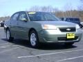 2006 Silver Green Metallic Chevrolet Malibu LT Sedan  photo #9
