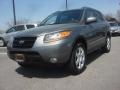 Steel Gray 2009 Hyundai Santa Fe SE