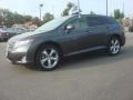 Magnetic Gray Metallic - Venza V6 Photo No. 2