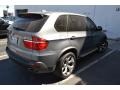 2010 Space Grey Metallic BMW X5 xDrive48i  photo #3