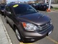 2011 Urban Titanium Metallic Honda CR-V EX-L 4WD  photo #10