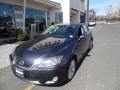Smoky Granite Mica - IS 250 AWD Photo No. 1