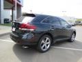 Cosmic Gray Mica - Venza XLE Photo No. 20