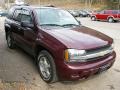 Bordeaux Red Metallic - TrailBlazer LS 4x4 Photo No. 10