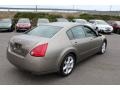 2004 Spirited Bronze Nissan Maxima 3.5 SE  photo #5