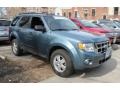 Steel Blue Metallic 2010 Ford Escape XLT Exterior