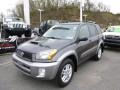 Graphite Gray Pearl 2003 Toyota RAV4 4WD