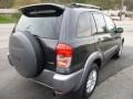 Graphite Gray Pearl - RAV4 4WD Photo No. 5