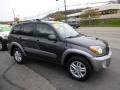 Graphite Gray Pearl - RAV4 4WD Photo No. 6