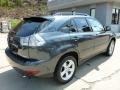 Flint Gray Mica - RX 350 AWD Photo No. 10
