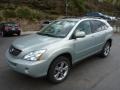 2007 Bamboo Green Pearl Lexus RX 400h AWD Hybrid  photo #2