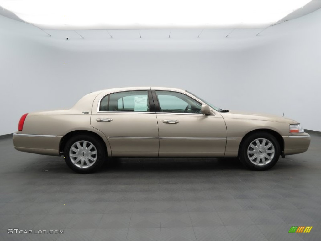Light French Silk Metallic 2010 Lincoln Town Car Signature Limited Exterior Photo #79962617
