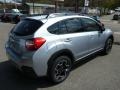 2013 Ice Silver Metallic Subaru XV Crosstrek 2.0 Premium  photo #3