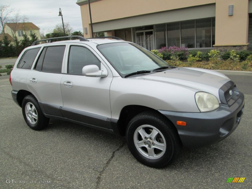 2003 Santa Fe GLS 4WD - Pewter / Gray photo #10