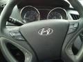 Iridescent Silver Blue Metallic - Sonata GLS Photo No. 13
