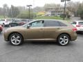 Sunset Bronze Mica - Venza V6 AWD Photo No. 4