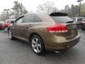 Sunset Bronze Mica - Venza V6 AWD Photo No. 5