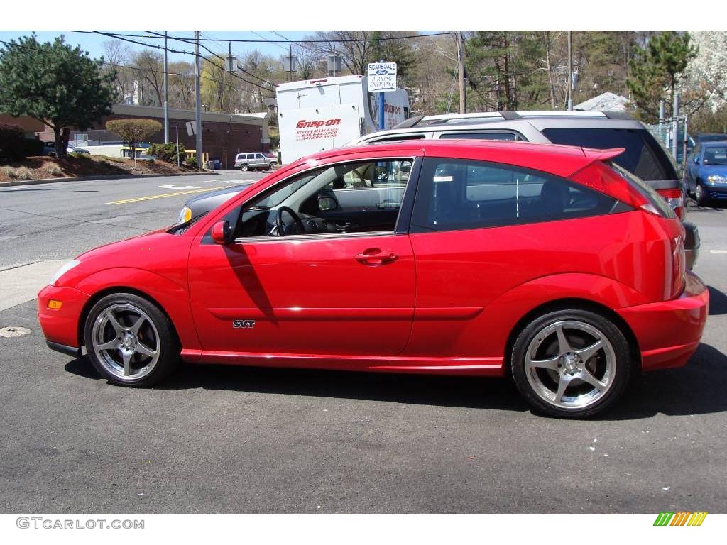 2003 Focus SVT Hatchback - Infra-Red / Black/Red photo #1