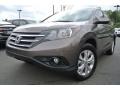 Urban Titanium Metallic - CR-V EX 4WD Photo No. 1