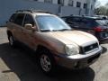 Sandstone 2002 Hyundai Santa Fe GLS AWD
