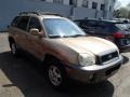 2002 Sandstone Hyundai Santa Fe GLS AWD #79950554