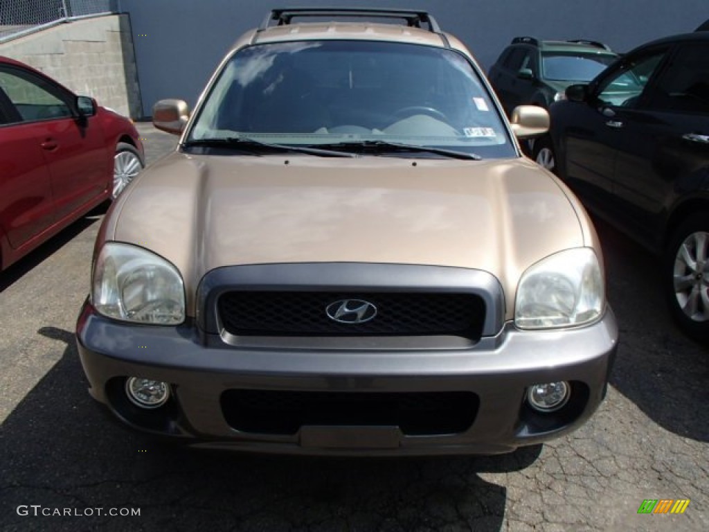 2002 Santa Fe GLS AWD - Sandstone / Beige photo #2