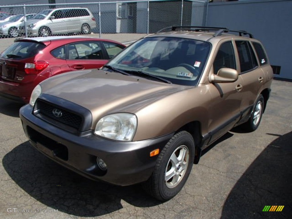 2002 Santa Fe GLS AWD - Sandstone / Beige photo #3