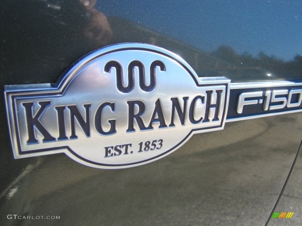 2003 F150 King Ranch SuperCrew 4x4 - Estate Green Metallic / Castano Brown Leather photo #5