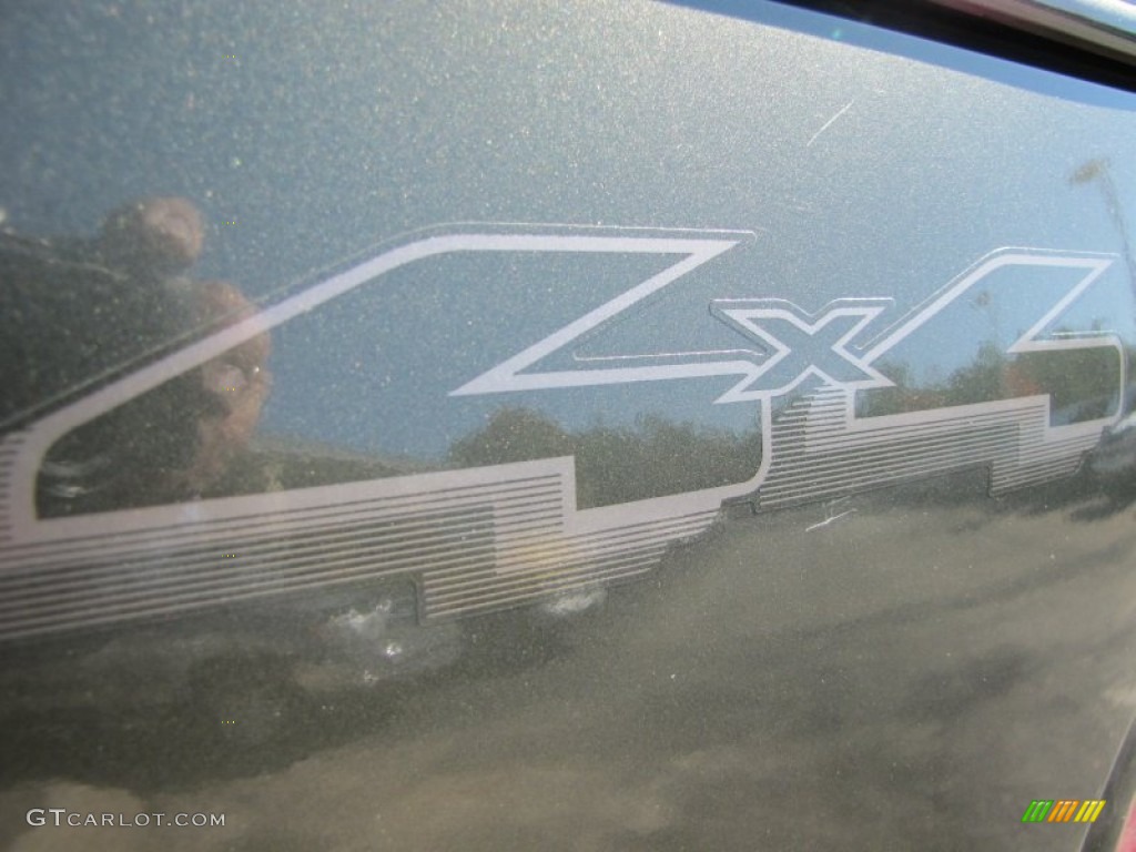 2003 F150 King Ranch SuperCrew 4x4 - Estate Green Metallic / Castano Brown Leather photo #9