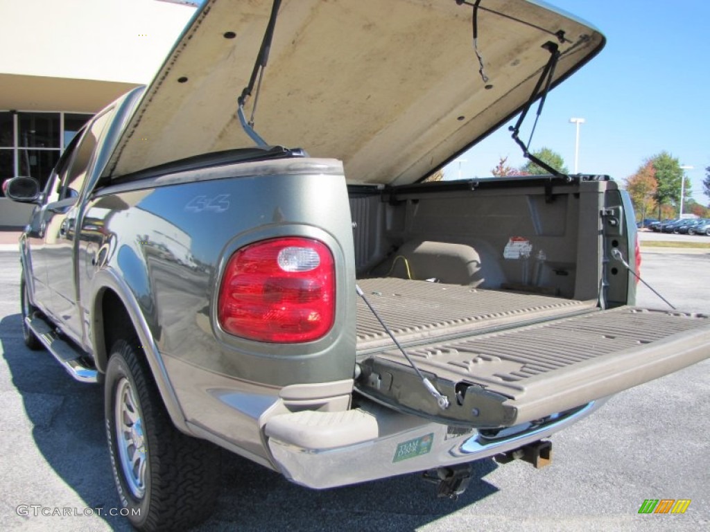 2003 F150 King Ranch SuperCrew 4x4 - Estate Green Metallic / Castano Brown Leather photo #10