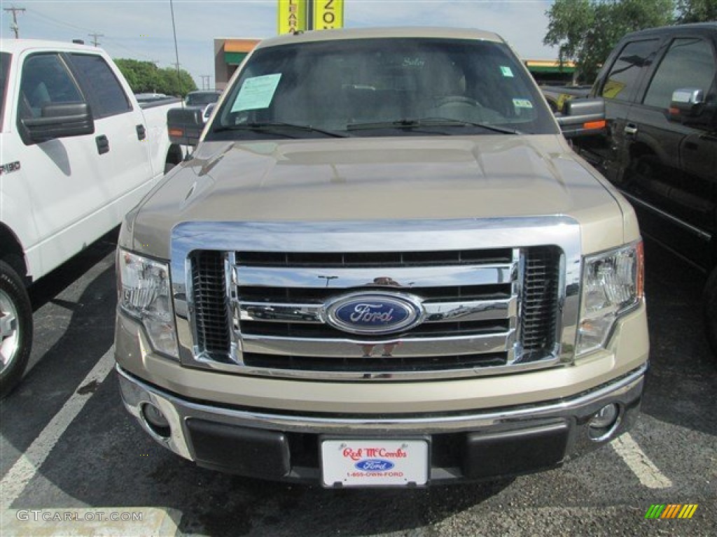 2010 F150 XLT SuperCrew - Pueblo Gold Metallic / Tan photo #3