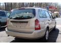 Pueblo Gold Metallic - Focus ZXW SE Wagon Photo No. 4