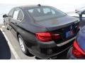 2013 Jet Black BMW 5 Series 528i Sedan  photo #9