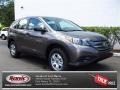 2013 Urban Titanium Metallic Honda CR-V LX  photo #1