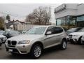 Mineral Silver Metallic - X3 xDrive 28i Photo No. 1