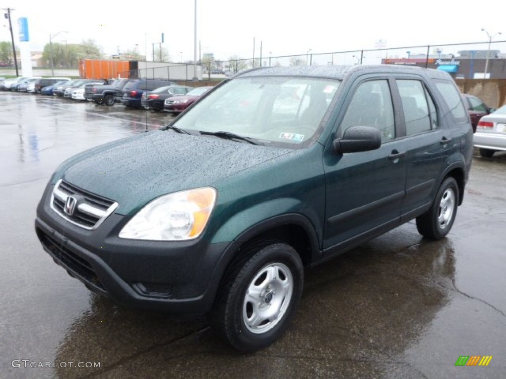 2003 CR-V LX 4WD - Clover Green Pearl / Saddle photo #7