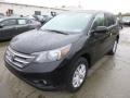 2013 Crystal Black Pearl Honda CR-V EX AWD  photo #7