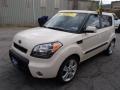 2010 Dune Beige Kia Soul !  photo #4