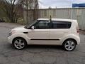 2010 Dune Beige Kia Soul !  photo #5