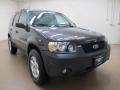 2006 Dark Shadow Grey Metallic Ford Escape XLT V6 4WD  photo #1