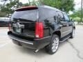 Black Raven - Escalade  Photo No. 10