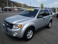 2010 Ingot Silver Metallic Ford Escape XLT  photo #4