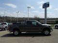 2013 Sterling Gray Metallic Ford F150 XLT SuperCab 4x4  photo #1