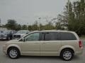 2010 Light Sandstone Metallic Chrysler Town & Country Limited  photo #2