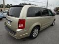 2010 Light Sandstone Metallic Chrysler Town & Country Limited  photo #10